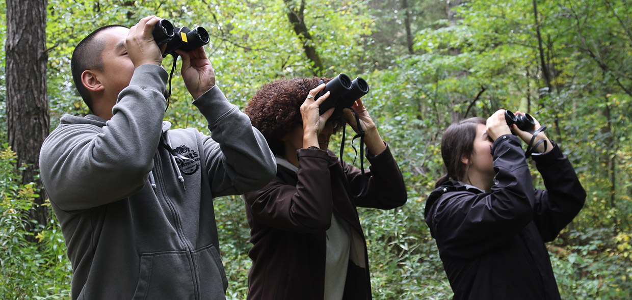 Workshop: Introduction to Birding @ Kortright Centre for Conservation