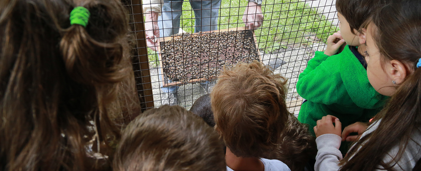 children visit Kortright Centre bee expert