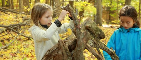 pre-teen girls take part in education program at Kortright Centre