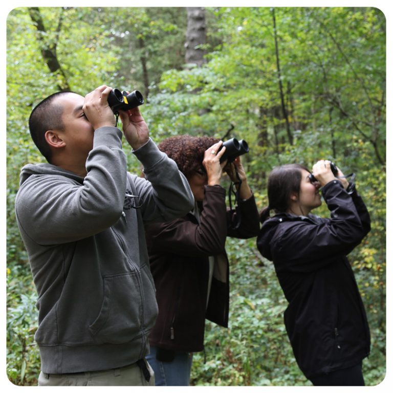 Whats On Kortright Centre For Conservation 5075