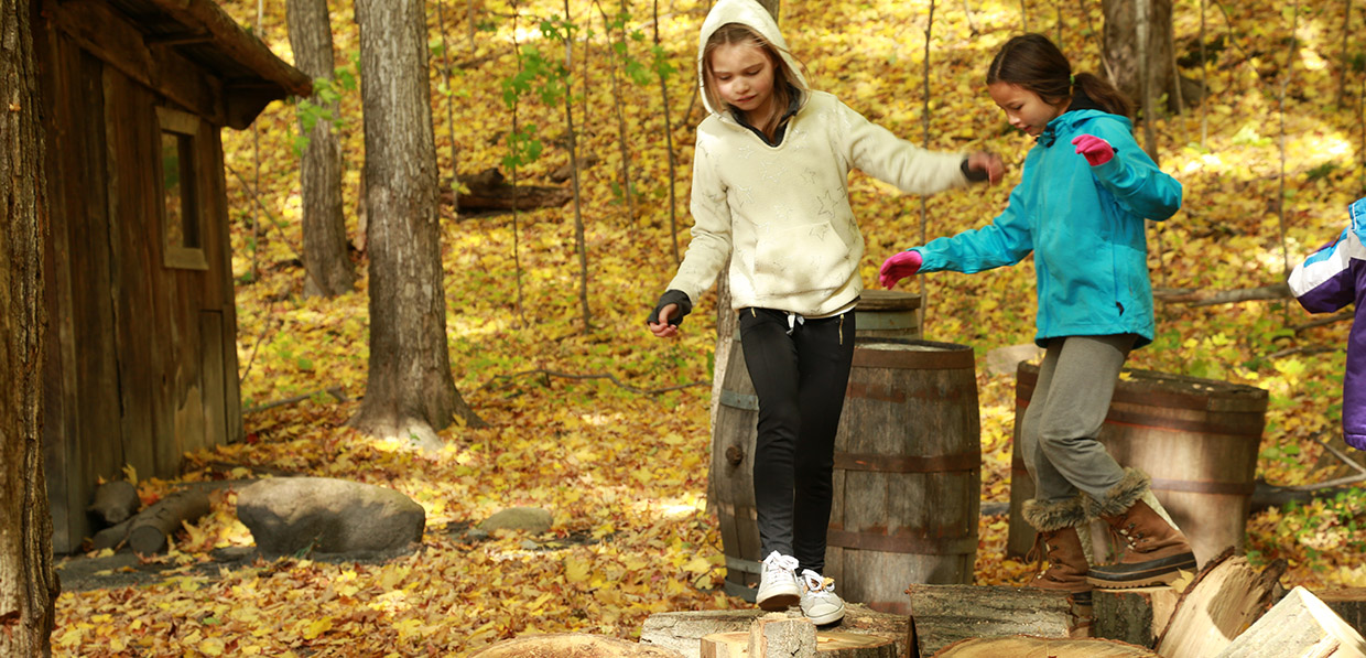 students take part in Forest School program at Kortright Centre