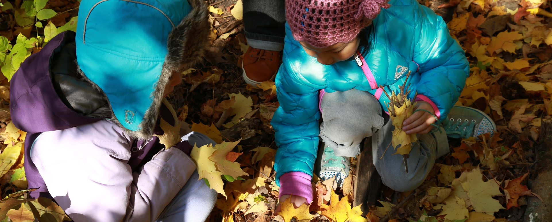 children at Kortright Nature School
