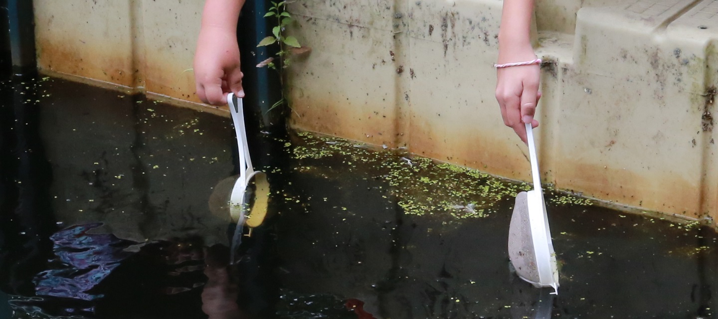 students collect aquatic habitat samples at Kortright Centre