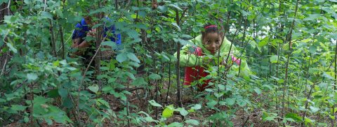 children use forest camouflage to hide at Kortright Centre survival camp