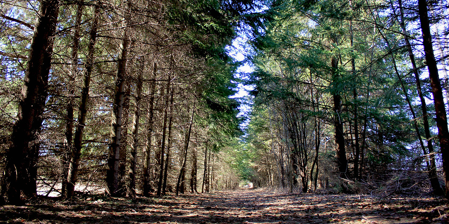 trail at Kortright Centre