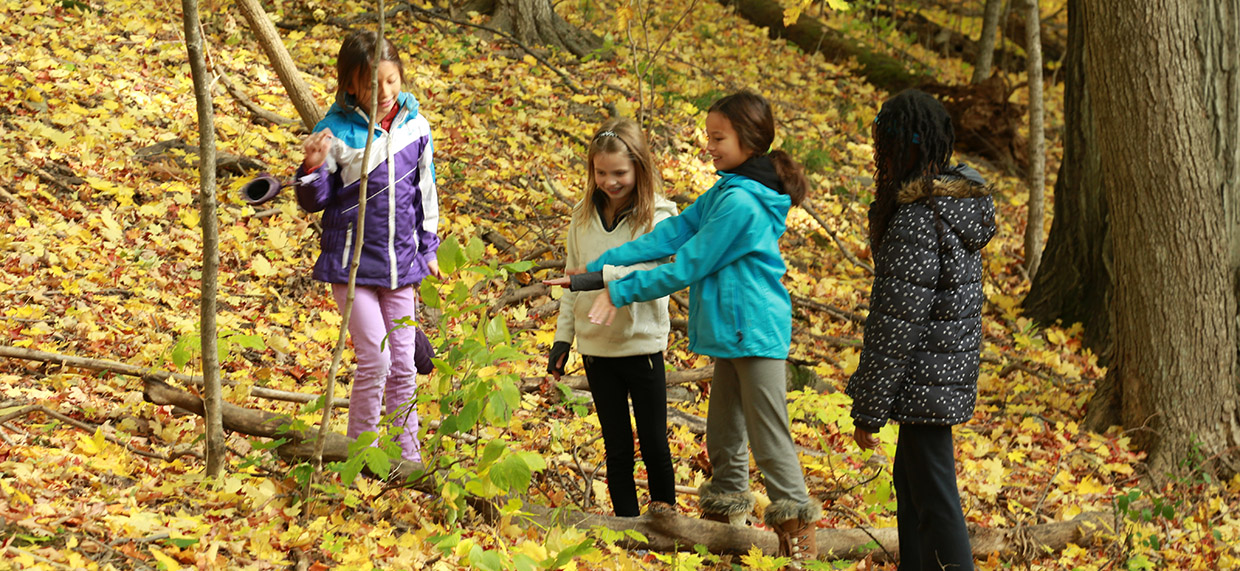 elementary school students explore forest in autumn at Kortright Centre