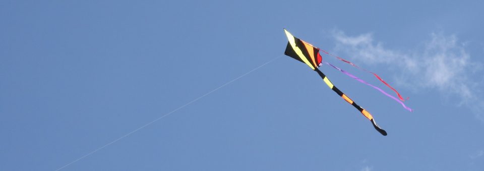 kite soars in blue sky