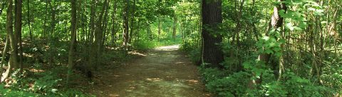 trail in woods at Kortright Centre