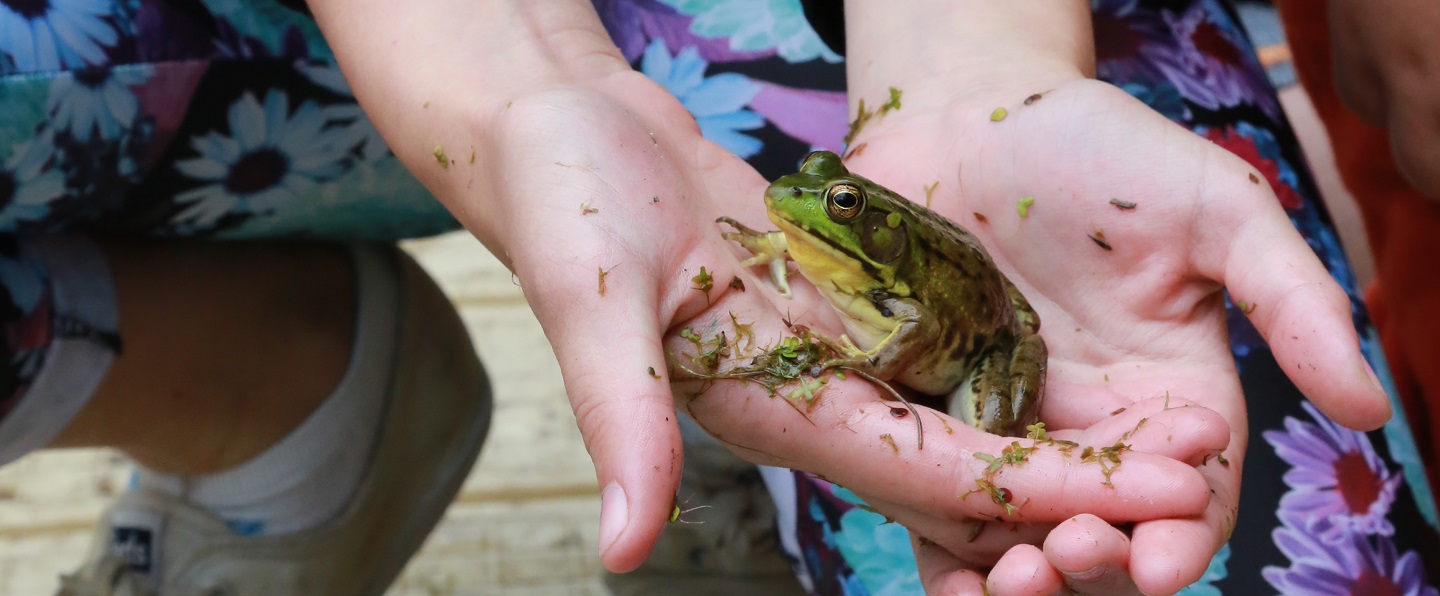 student cups small frog in hands
