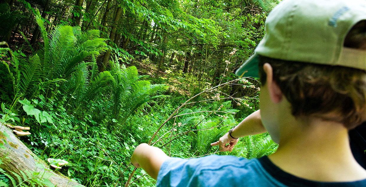 student examines plant life on trail at Kortright Centre