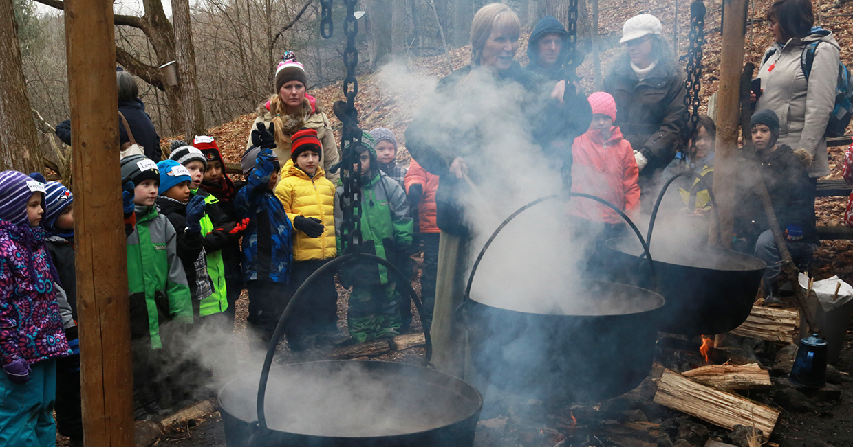 Maple Syrup Xarope de Bordo Kortright Centre for Conservation