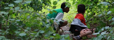 children use forest camouflage in Kortright survival instincts school program