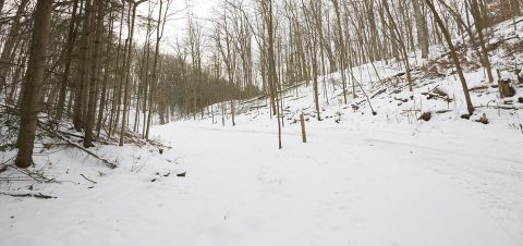Kortright Centre trail covered in snow