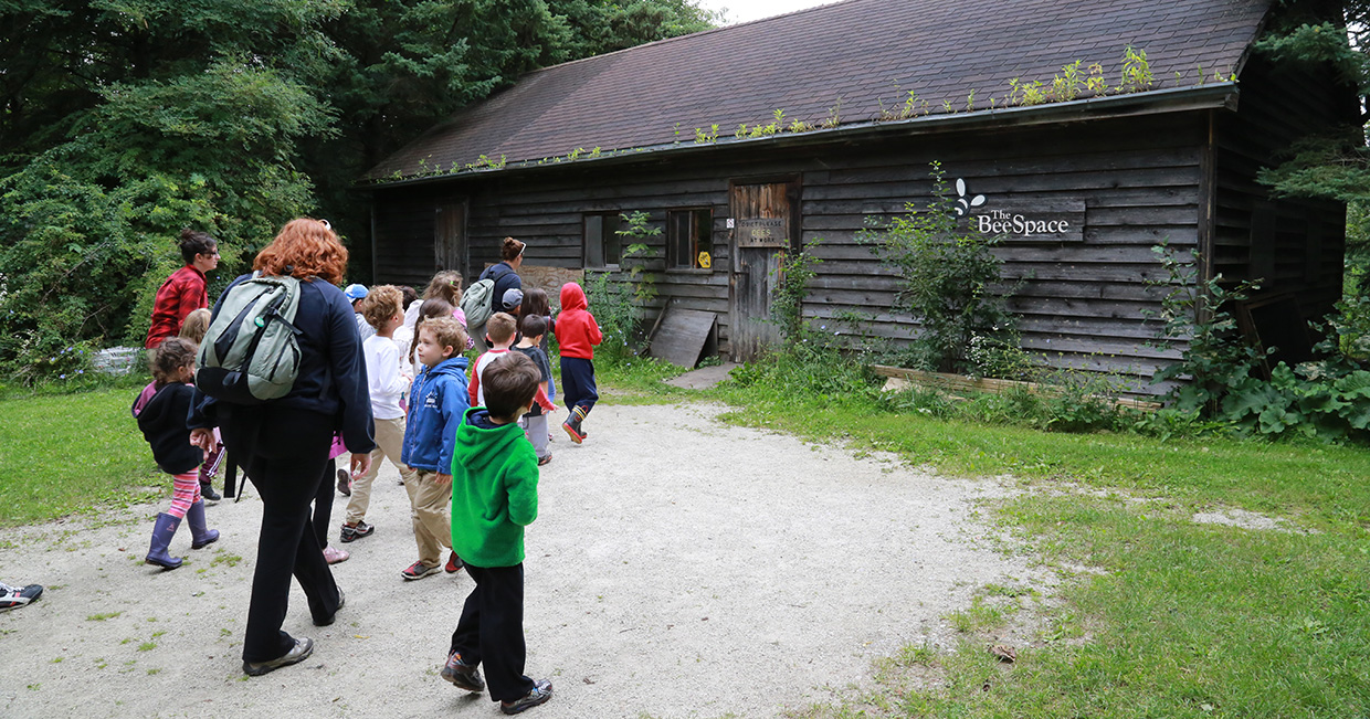 teachers and students visit Bee Space at Kortright Centre