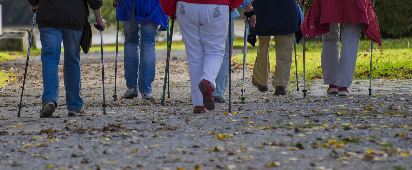 seniors pole walking session at Kortright Centre