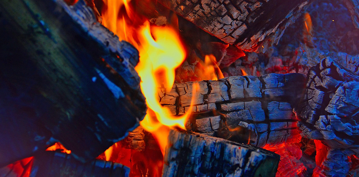 burning logs in campfire