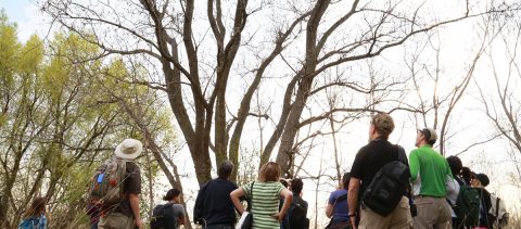 birdwatchers at Tommy Thompson Park