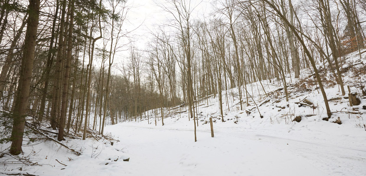 Silent Retreat @ Kortright Centre for Conservation