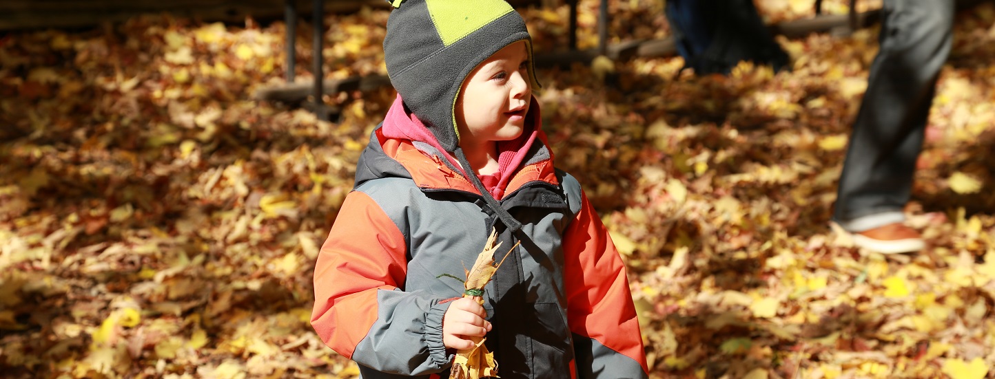 young boy at Kortright Nature School