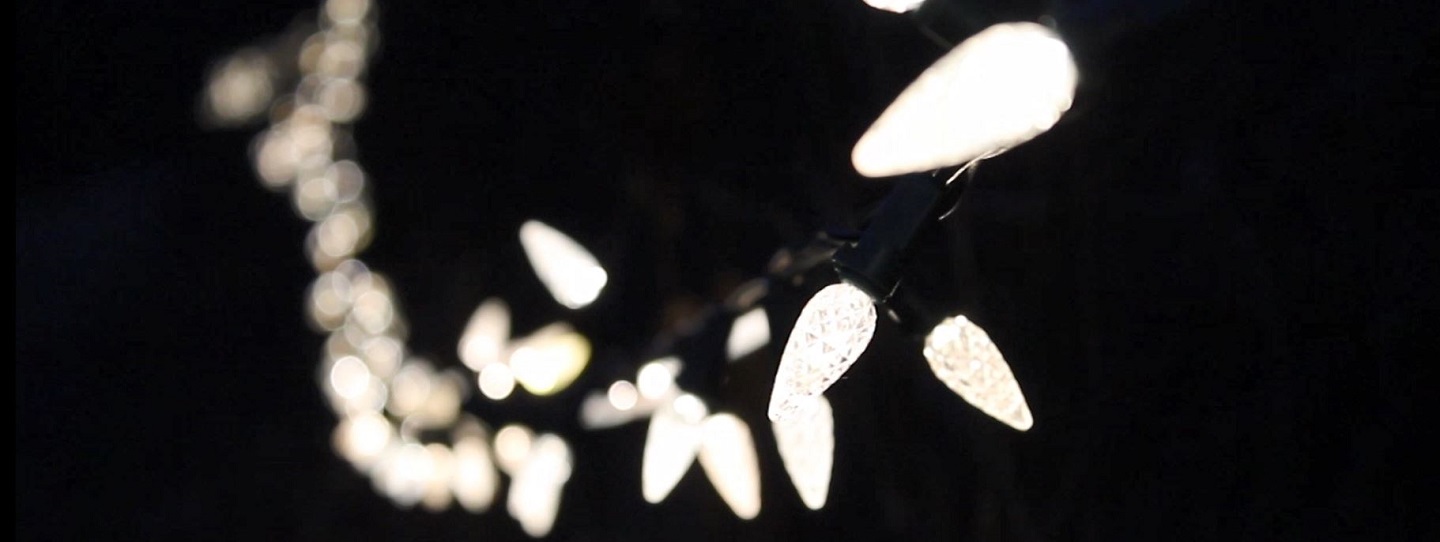 Magical Christmas Forest @ Kortright Centre for Conservation | Vaughan | Ontario | Canada
