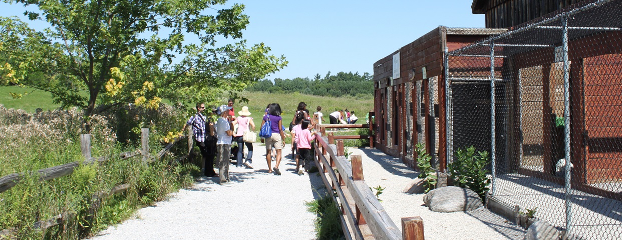 Kortright Centre For Conservation 4689