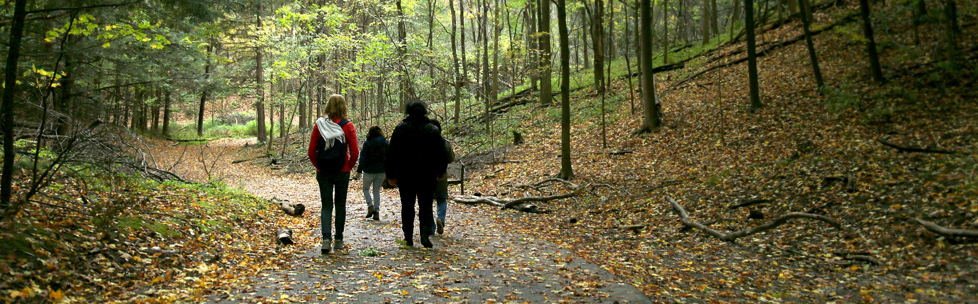 group of women explore fall trail at Kortright Centre