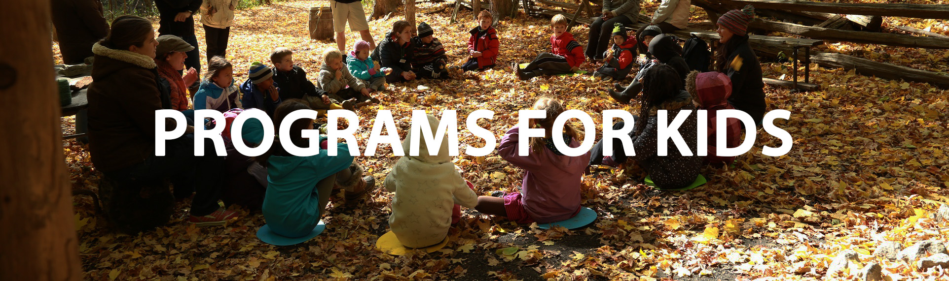 children and teachers at Kortright Centre fall day camp