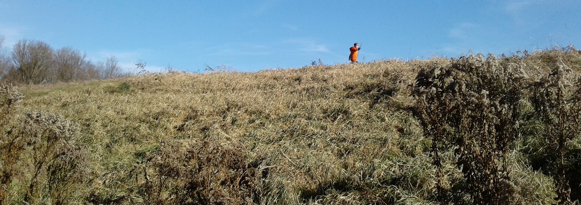young boy hiking at Kortright Centre for Conservation