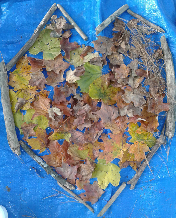 nature art made with leaves and branches