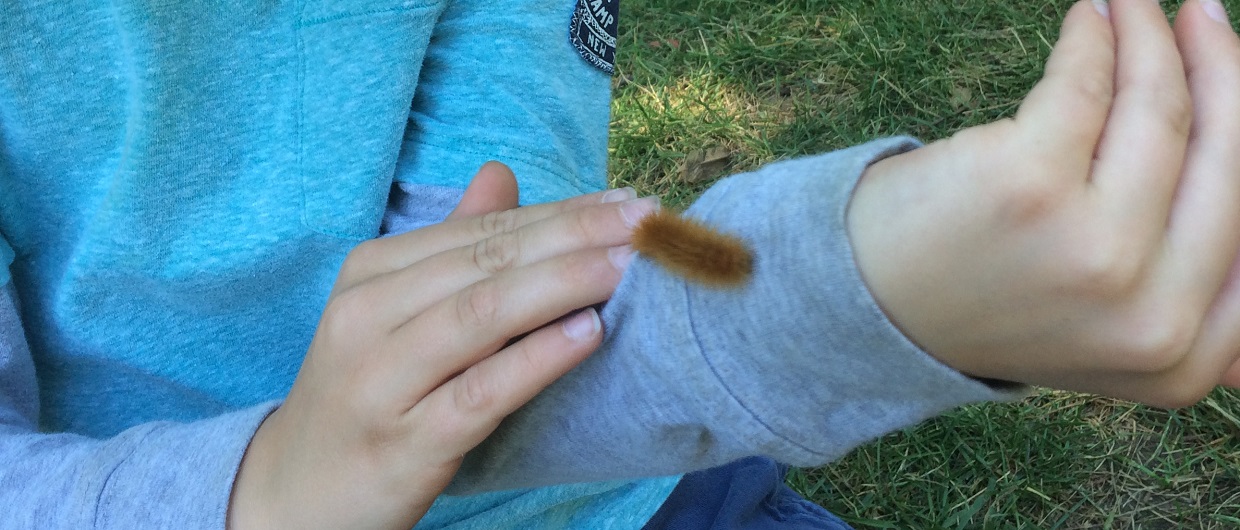 boy with caterpillar on arm