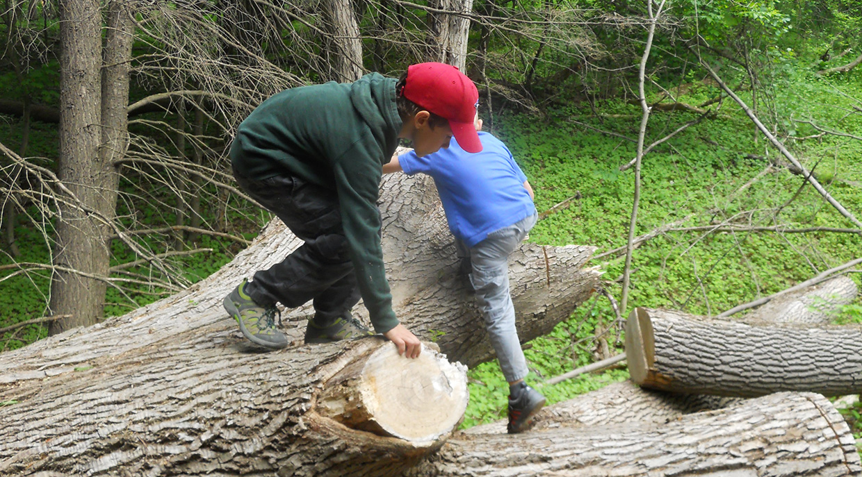 two boys climb on fallen logs