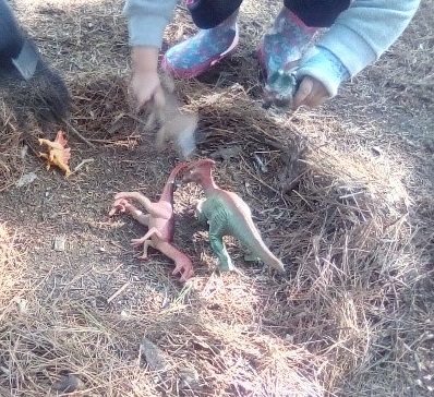 Nature School preschool students hide plastic dinosaurs in pine needles