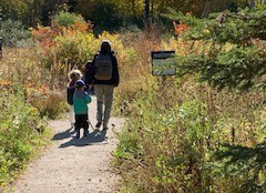 preschoolers explore trail at Kortright Centre in the fall