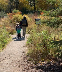 preschoolers explore trail at Kortright Centre in the fall