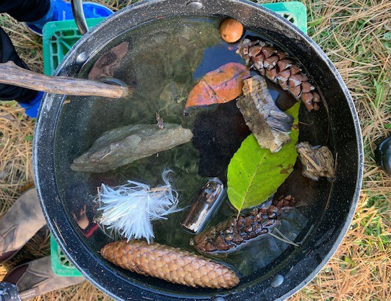 bucket filled with fall leaves and pinecones