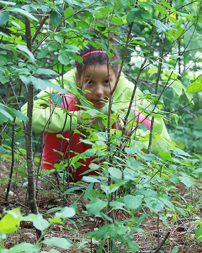 summer campers camouflage themselves in the forest as part of survival challenge game at Kortright Centre