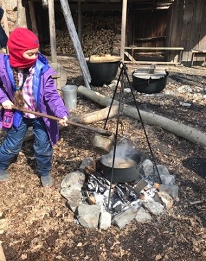 student at The Nature School pours sap into a kettle over a fire to make maple syrup