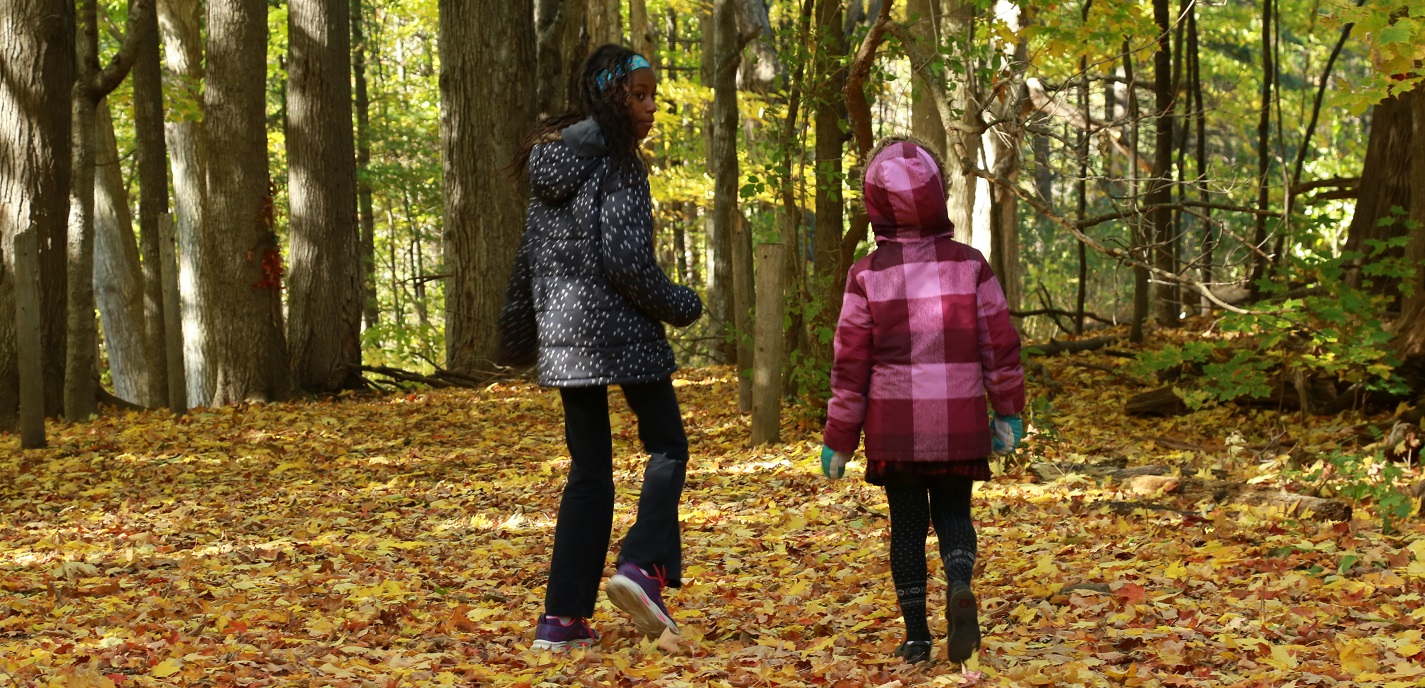 primary students take part in Nature School program at Kortright Centre