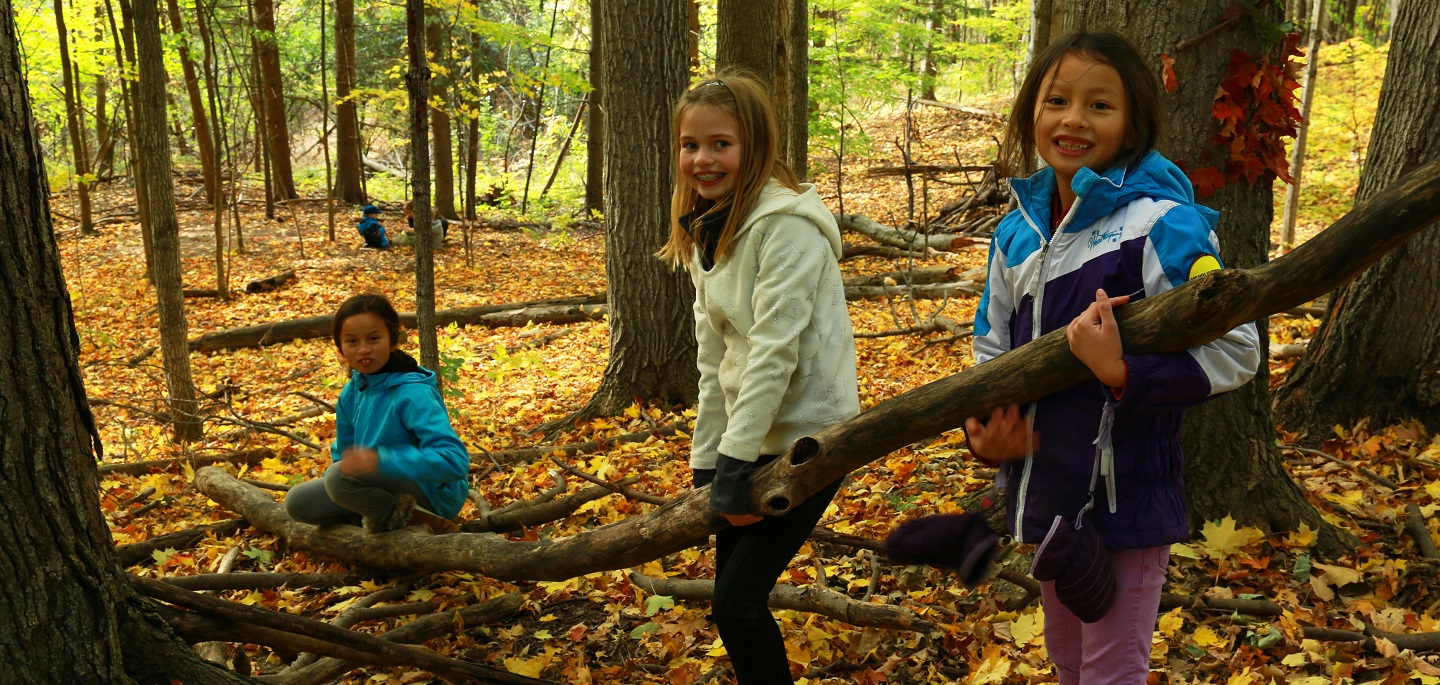 children attend PA Day Camp at Kortright Centre