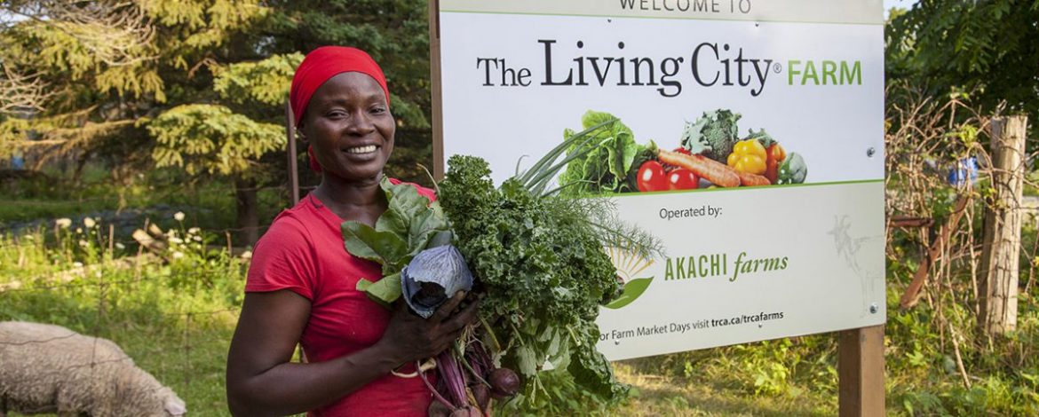Akachi Farms