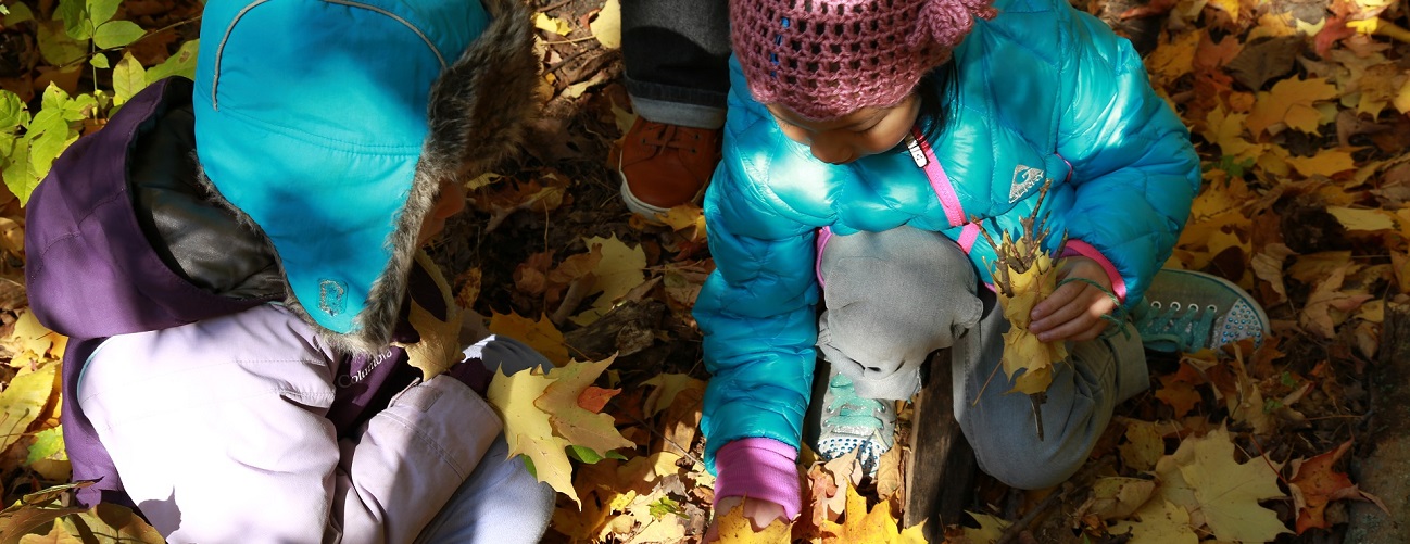 children enjoy outdoor activities while attending The Nature School at Kortright