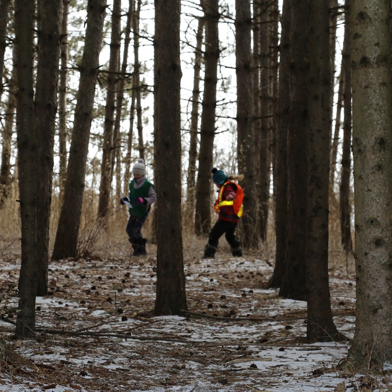 March Break campers explore the forest at Claireville Conservation Area