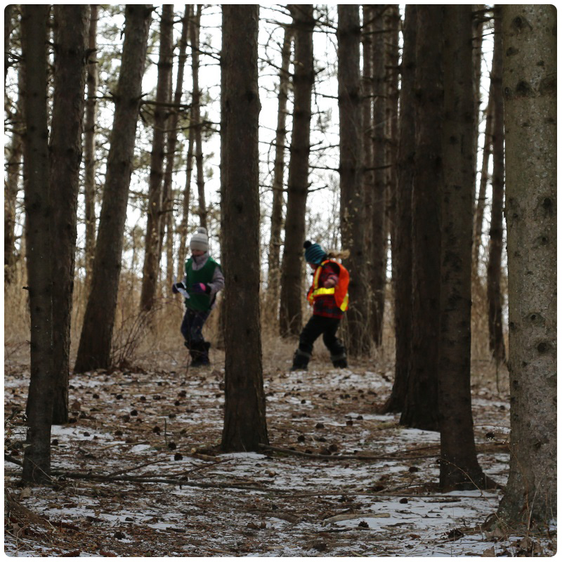 March Break campers explore the forest at Claireville Conservation Area