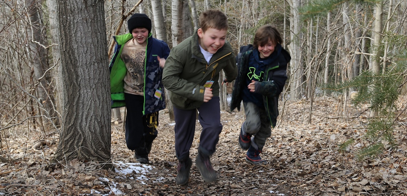 students spend a PA day exploring the forest at Claireville Conservation Area