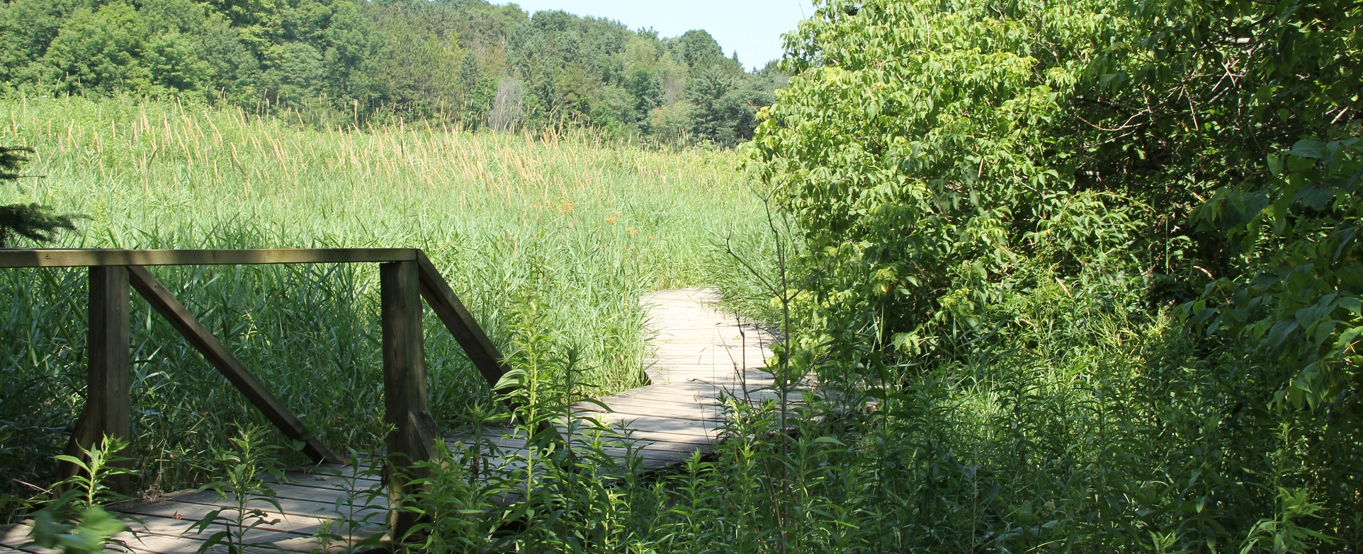 nature trail at Kortright Centre for Conservation