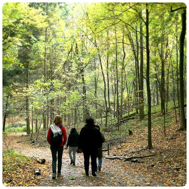 wellness walk at Kortright Centre for Conservation