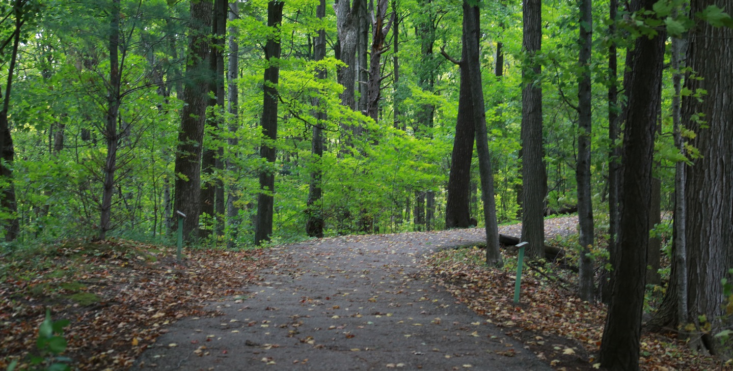 trail at Kortrght Centre in early autumn