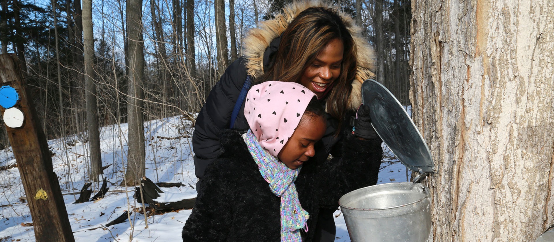 mother and daughter learn the traditional method of tapping trees to collect sap for maple syrup