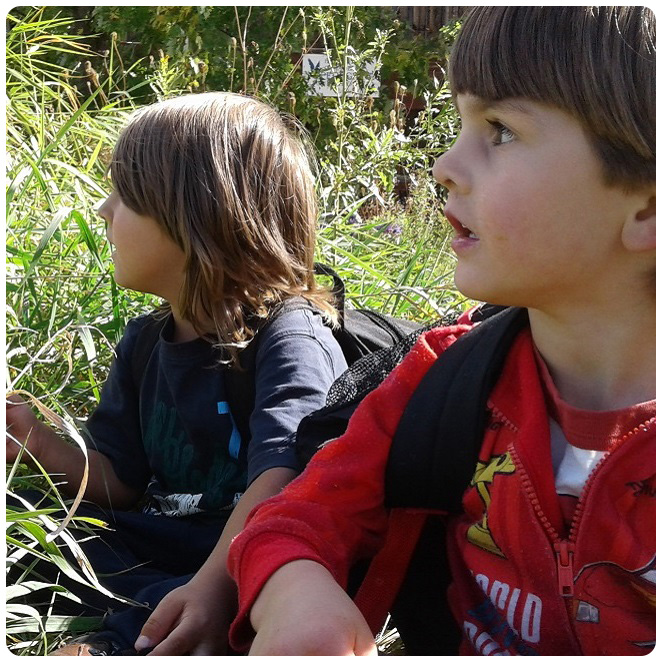 youngsters take part in The Nature School weekend program at Kortright Centre for Conservation
