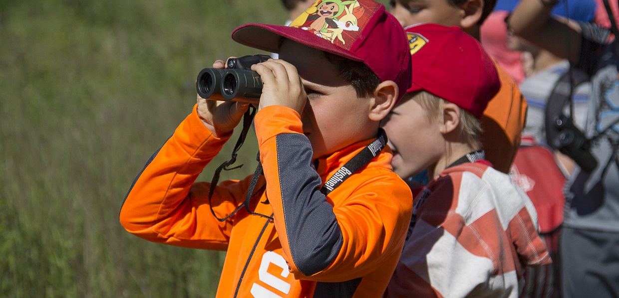 student uses binocular to observe wildlife in Beginner Naturalist program at Kortright Centre for Conservation